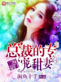二嫁豪门:总裁的专宠甜妻