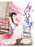 庶妃芳华