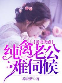 诱妻成瘾:纯禽老公难伺候