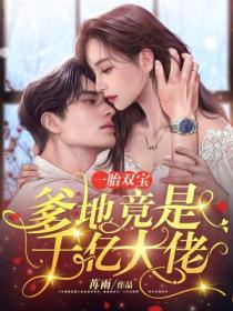 一胎双宝:爹地竟是千亿大佬