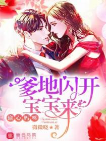偷心妈咪:爹地闪开宝宝来
