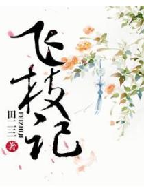 飞枝记