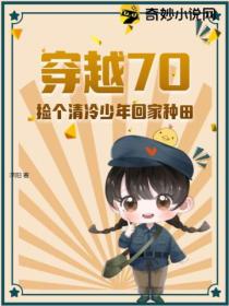 穿越70,捡个清冷少年回家种田