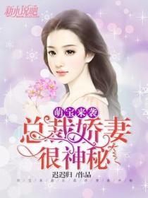 萌宝来袭:总裁娇妻很神秘