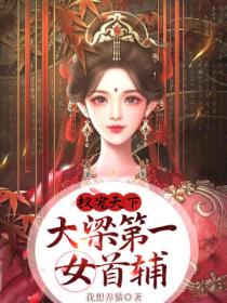权宠天下:大梁第一女首辅