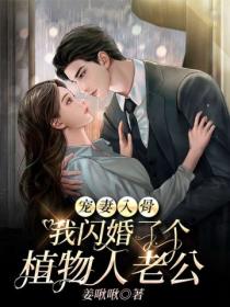 宠妻入骨:我闪婚了个植物人老公