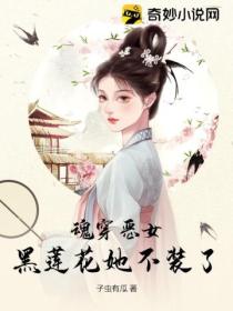 魂穿恶女,黑莲花她不装了