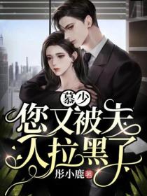 慕少,您又被夫人拉黑了