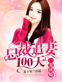 一宠成瘾:总裁追妻100天