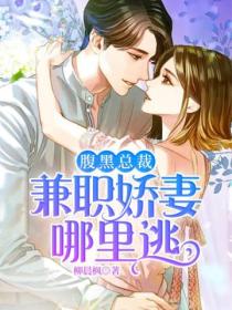 腹黑总裁,兼职娇妻哪里逃