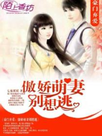 豪门弃爱,傲娇萌妻别想逃