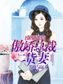 强娶强爱:傲娇总裁二货妻
