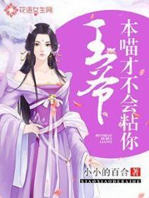 王爷,本喵才不会粘你