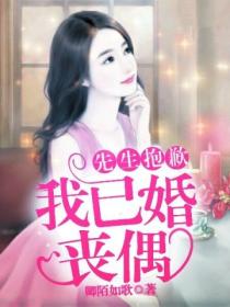 先生抱歉,我已婚丧偶