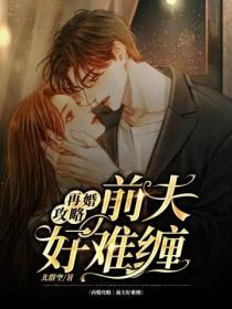 再婚攻略:前夫好难缠