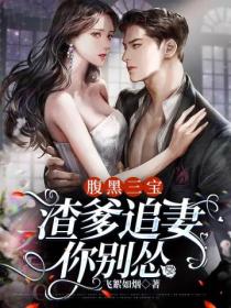 腹黑三宝:渣爹追妻你别怂