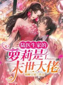 陆医生家的萝莉是末世大佬