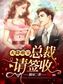 天降萌宝:总裁请签收