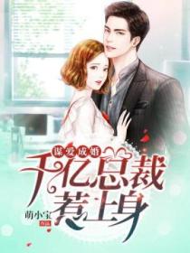 谋爱成婚,千亿总裁惹上身