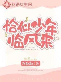 恰似少年临风来