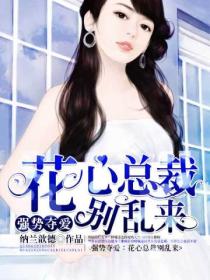 强势夺爱:花心总裁别乱来