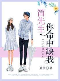 简先生,你命中缺我
