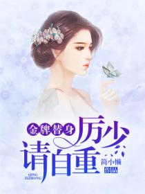 金牌替身,厉少请自重