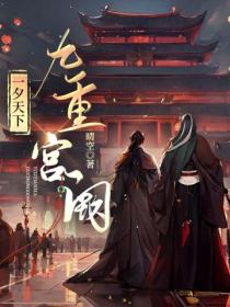 一夕天下:九重宫阙