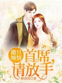 撒旦缠情:首席,请放手