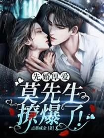 先婚厚爱,莫先生撩爆了!