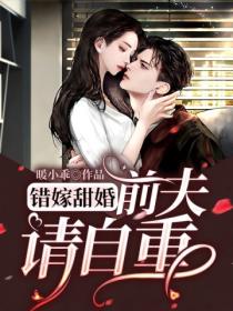 错嫁甜婚:前夫请自重