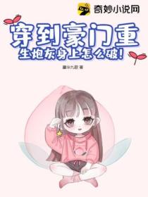 穿到豪门重生炮灰身上怎么破!
