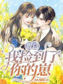 贺总,我捡到了你的崽