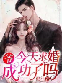 爷,今天求婚成功了吗