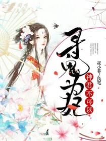 寻鬼为妃:神君不可以