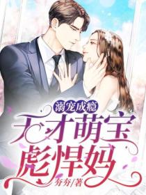 溺宠成瘾:天才萌宝彪悍妈