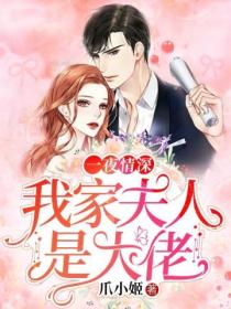 一夜情深:我家夫人是大佬