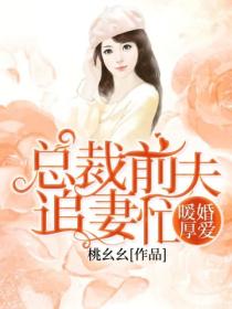 暖婚厚爱:总裁前夫追妻忙