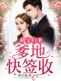 萌宝归来:爹地快签收