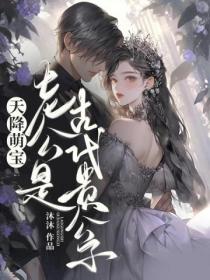 天降萌宝,老公是古代贵公子