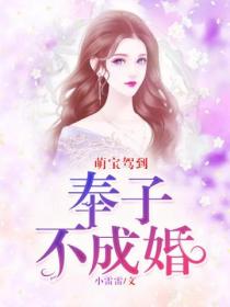 萌宝驾到:奉子不成婚
