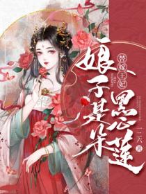 替嫁王妃：娘子是朵黑心莲