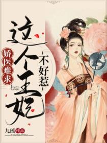 娇医难求,这个王妃不好惹