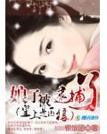 皇上是匹狼:娘子被逮捕了