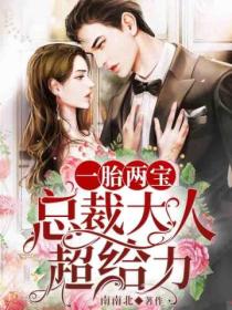 一胎两宝:总裁大人超给力