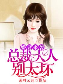 娇妻来袭,总裁大人别太坏