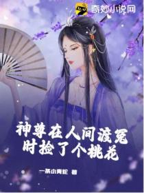 神尊在人间渡冤时捡了个桃花