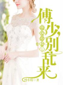 霸爱甜妻:傅少,别乱来