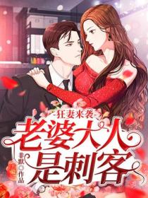 狂妻来袭：老婆大人是刺客