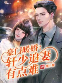 豪门暖婚:轩少追妻有点难